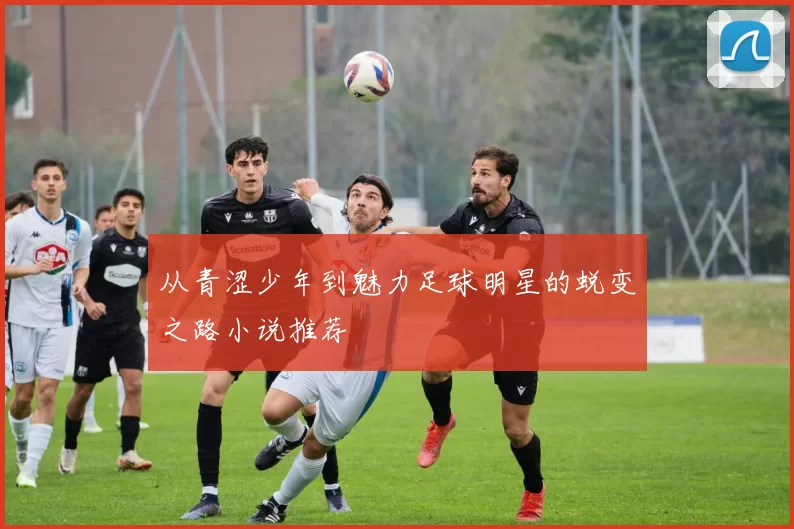 从青涩少年到魅力足球明星的蜕变之路小说推荐