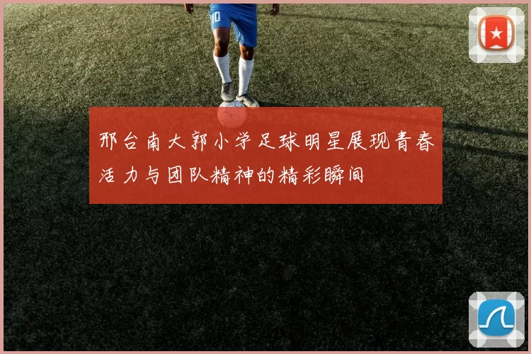 邢台南大郭小学足球明星展现青春活力与团队精神的精彩瞬间