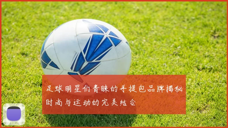 足球明星们青睐的手提包品牌揭秘时尚与运动的完美结合