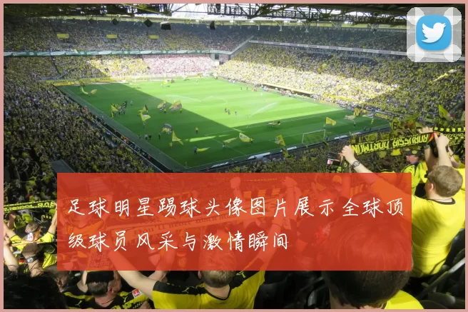 足球明星踢球头像图片展示全球顶级球员风采与激情瞬间