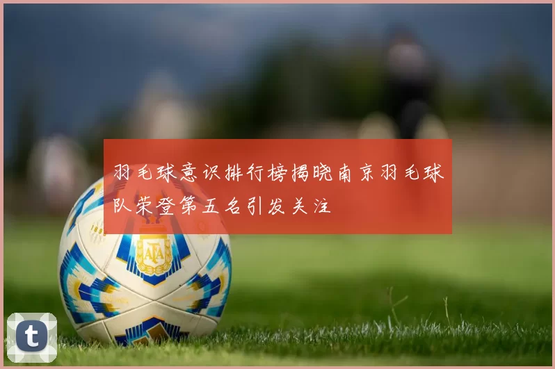 羽毛球意识排行榜揭晓南京羽毛球队荣登第五名引发关注