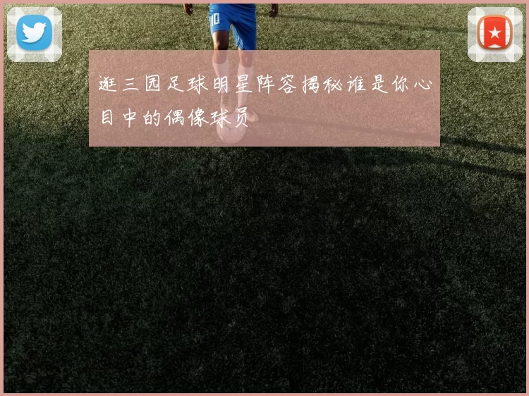 逛三园足球明星阵容揭秘谁是你心目中的偶像球员