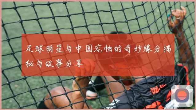 足球明星与中国宠物的奇妙缘分揭秘与故事分享