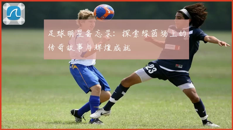 足球明星备忘录：探索绿茵场上的传奇故事与辉煌成就