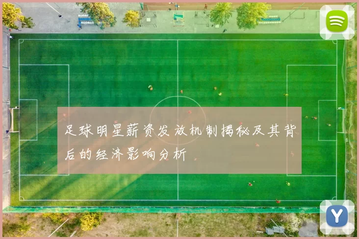足球明星薪资发放机制揭秘及其背后的经济影响分析