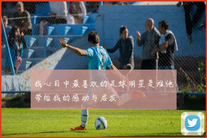 我心目中最喜欢的足球明星是谁他带给我的感动与启发