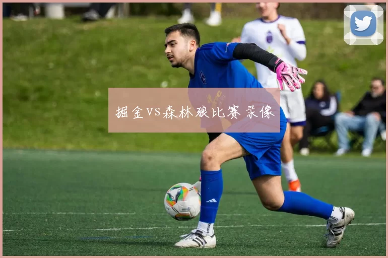 掘金vs森林狼比赛录像