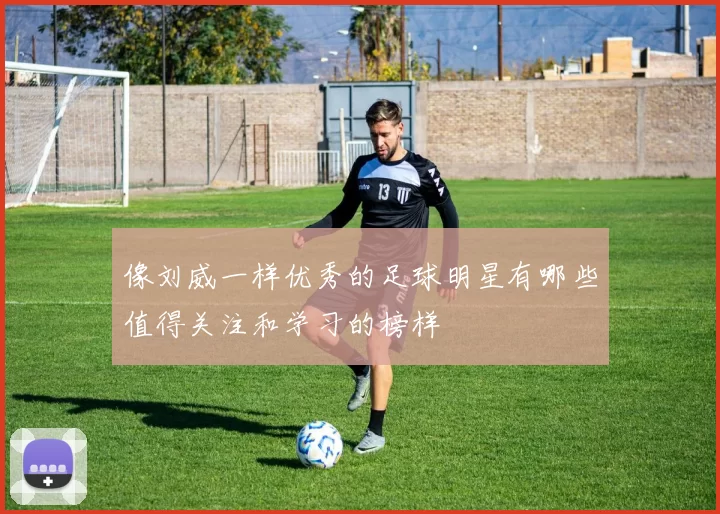 像刘威一样优秀的足球明星有哪些值得关注和学习的榜样