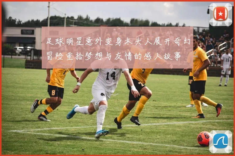 足球明星意外变身木头人展开奇幻冒险重拾梦想与友情的感人故事