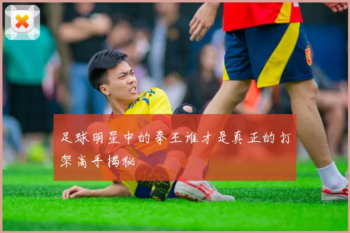 足球明星中的拳王谁才是真正的打架高手揭秘