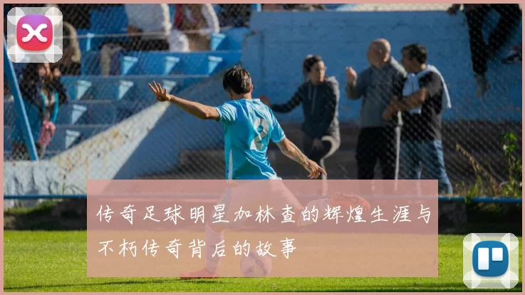 传奇足球明星加林查的辉煌生涯与不朽传奇背后的故事